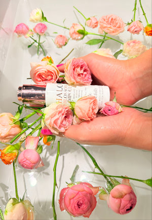 moi:fully Halo Blossom Ampoule